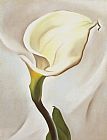 Famous Lily Paintings - Calla Lily Turned Away 1923